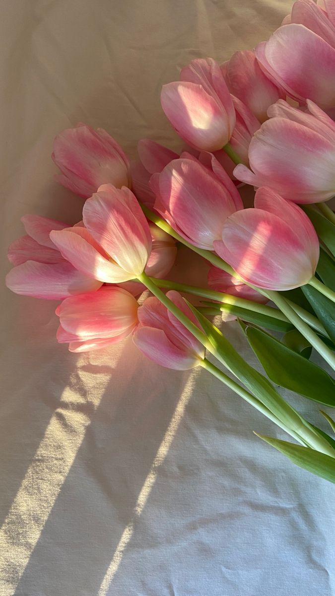 Sunset Embrace: Amber Twilight Roses Collection